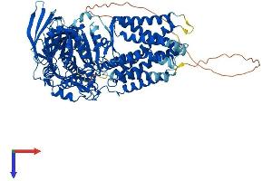 ERMP1 Protein (AA 1-904) (His tag)