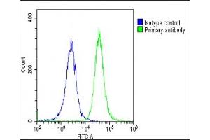Flow Cytometry (FACS) image for anti-Cytochrome P450, Family 27, Subfamily B, Polypeptide 1 (CYP27B1) (AA 482-508), (C-Term) antibody (ABIN652999)