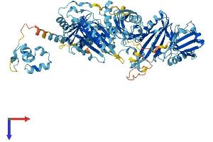 Advillin Protein (AVIL) (AA 1-819) (His tag)