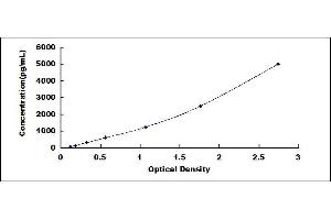 Typical standard curve (Claudin 3 ELISA Kit)