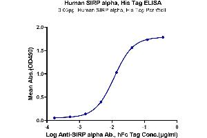 ELISA image for Signal-Regulatory Protein alpha (SIRPA) (AA 31-370) protein (His tag) (ABIN7275652)