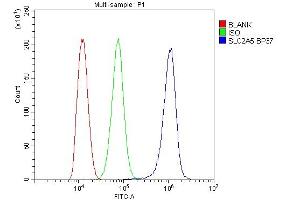 Flow Cytometry analysis of THP-1 cells using anti-SLC2A5 antibody (ABIN4886727).