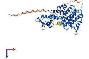 SAC3D1 Protein (AA 1-404) (His tag)