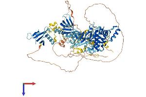 PRKD3 Protein (AA 1-890) (His tag)