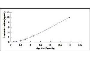 Typical standard curve (FOXO3 ELISA Kit)