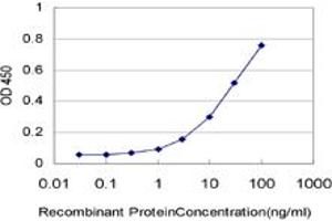 Detection limit for recombinant GST tagged HRSP12 is approximately 3ng/ml as a capture antibody. (HRSP12 Antikörper  (AA 1-137))