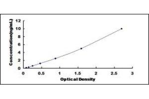 Typical standard curve (PDE12 ELISA Kit)