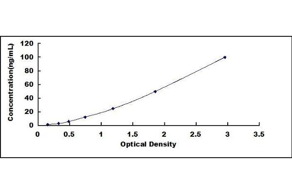 Retinol Binding Protein 5 ELISA Kit