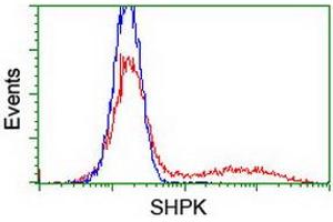 HEK293T cells transfected with either RC204421 overexpress plasmid (Red) or empty vector control plasmid (Blue) were immunostained by anti-SHPK antibody (ABIN2454880), and then analyzed by flow cytometry. (SHPK Antikörper)