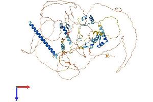 CIZ1 Protein (AA 1-898) (His tag)