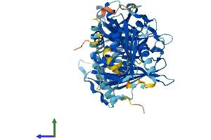 Protein Structure (PS) image for Acyl-CoA Thioesterase 12 (ACOT12) (AA 1-556) protein (His tag) (ABIN7561284)