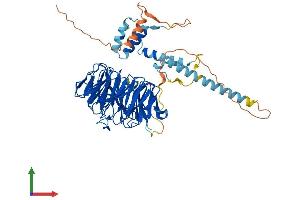 AlphaFold protein structure predicition of Human Recombinant TBL1X Protein, UniprotID O60907