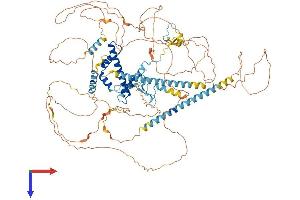 TAF3 Protein (AA 1-929) (His tag)