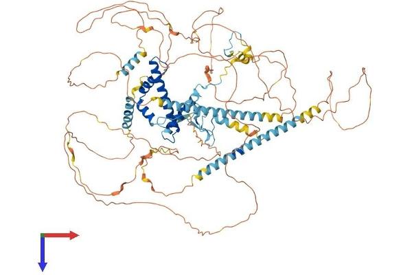 TAF3 Protein (AA 1-929) (His tag)