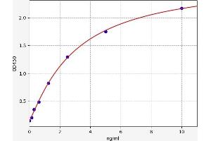 Typical standard curve (FCN1 ELISA Kit)