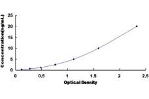 DYNC1H1 ELISA Kit