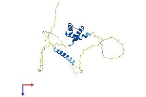 TGIF2LX Protein (AA 1-241) (His tag)