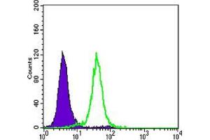 Flow Cytometry (FACS) image for anti-Cadherin 1, Type 1, E-Cadherin (Epithelial) (CDH1) antibody (ABIN969036)
