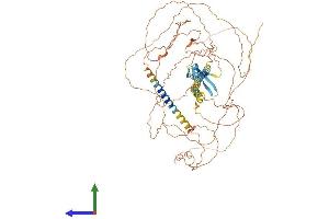 Protein Structure (PS) image for Neuregulin 3 (NRG3) (AA 1-713) protein (His tag) (ABIN7562278)