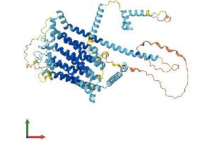 Protein Structure (PS) image for Transmembrane Channel-Like 8 (TMC8) (AA 1-726) protein (His tag) (ABIN7544461)
