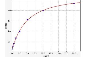 AKT2 ELISA Kit