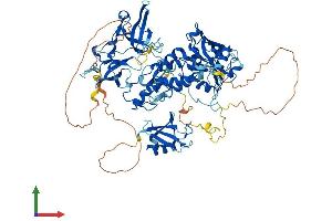 Protein Structure (PS) image for Ubiquitin-Like with PHD and Ring Finger Domains 2, E3 Ubiquitin Protein Ligase (UHRF2) (AA 1-802) protein (His tag) (ABIN7555913)