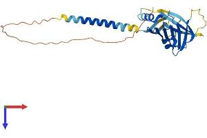 ITM2C Protein (AA 1-267) (His tag)