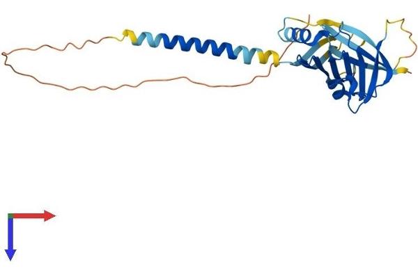 ITM2C Protein (AA 1-267) (His tag)