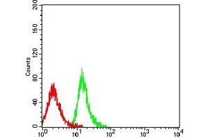 Flow cytometric analysis of MOLT4 cells using CD239 mouse mAb (green) and negative control (red).
