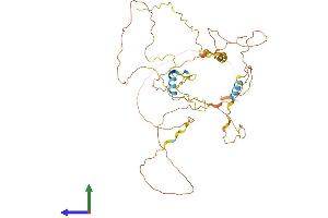AlphaFold protein structure predicition of Mouse Recombinant Fam222a Protein, UniprotID Q6PGH4