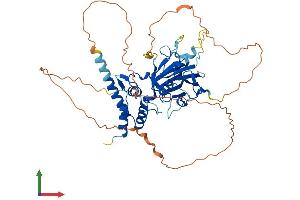 AlphaFold protein structure predicition of Human Recombinant SMAD6 Protein, UniprotID O43541 (SMAD6 Protein (AA 1-496) (His tag))