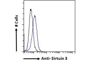 ABIN768568 Flow cytometric analysis of paraformaldehyde fixed NIH3T3 cells (blue line), permeabilized with 0. (SIRT3 Antikörper  (Internal Region))