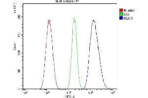 Flow Cytometry analysis of A549 cells using anti-MBD1 antibody (ABIN7603182).