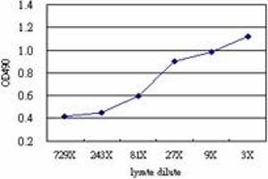 ELISA image for RNH1 (Human) Matched Antibody Pair (ABIN1342154)