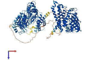 ACAD10 Protein (AA 1-1069) (His tag)