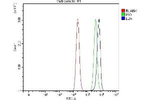 Flow Cytometry analysis of THP-1 cells using anti-Ezrin/EZR antibody (ABIN7603214). (Ezrin Antikörper  (N-Term))