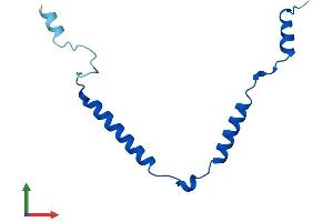 Protein Structure (PS) image for Mitochondrial Ribosomal Protein 63 (MRP63) (AA 1-102) protein (His tag) (ABIN7551632)