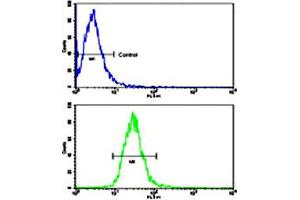 Flow cytometric analysis of NCI-H460 cells using TLR6 polyclonal antibody (bottom histogram) compared to a negative control cell (top histogram). (TLR6 Antikörper  (C-Term))