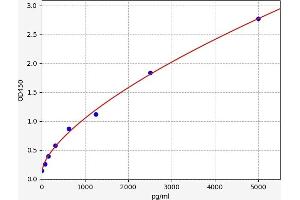 C9orf3 ELISA Kit