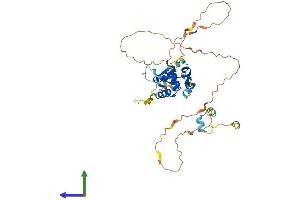 AlphaFold protein structure predicition of Human Recombinant FOXH1 Protein, UniprotID O75593