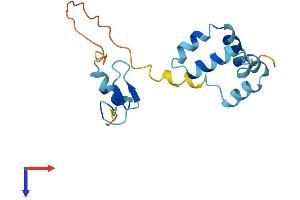 ZNHIT3 Protein (AA 1-155) (His tag)