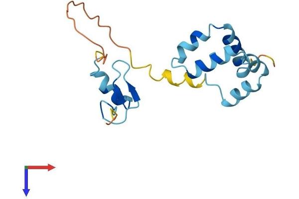ZNHIT3 Protein (AA 1-155) (His tag)