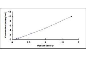 Typical standard curve (ETFA ELISA Kit)