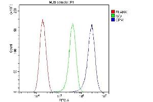 Flow Cytometry analysis of Hela cells using anti-CPM antibody (ABIN4886547).
