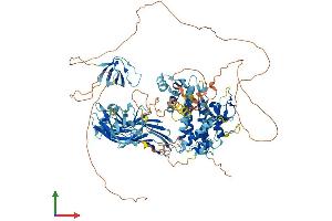Protein Structure (PS) image for SH3-Domain Binding Protein 4 (SH3BP4) (AA 1-962) protein (His tag) (ABIN7564846)