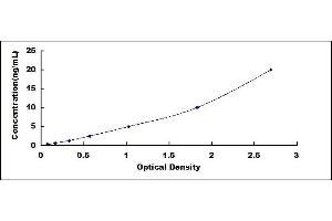 Typical standard curve