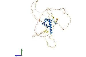 Protein Structure (PS) image for Homeobox A1 (HOXA1) (AA 1-335) protein (His tag) (ABIN7548342)