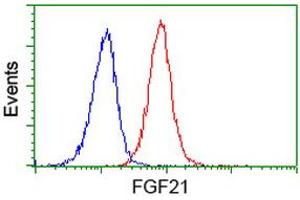 Flow cytometric Analysis of Jurkat cells, using anti-FGF21 antibody (ABIN2454511), (Red), compared to a nonspecific negative control antibody, (Blue). (FGF21 Antikörper  (AA 29-209))