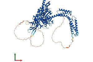Protein Structure (PS) image for Heat Shock 70kDa Protein 4-Like (HSPA4L) (AA 1-839) protein (His tag) (ABIN7548370)