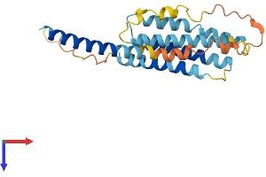 TMEM98 Protein (AA 1-226) (His tag)